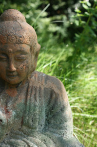 Buddha by Steev Morgan